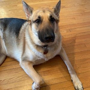 Meet your Posher, Nancy